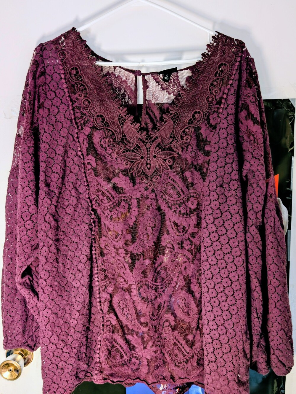 Women's Lace V-Neck Blouse - Plum